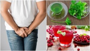5 huskurer för att behandla uretrit