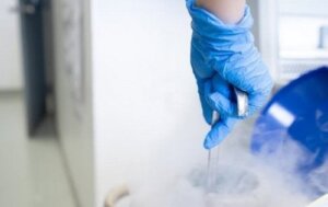 Att donera ägg som solidaritetshandling