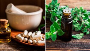 Naturliga antibiotika: dessa är de bästa