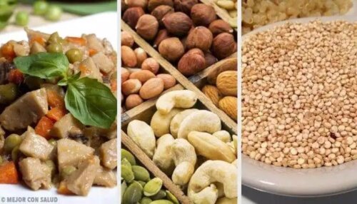 Alternativ för att ersätta animaliskt protein i din kost