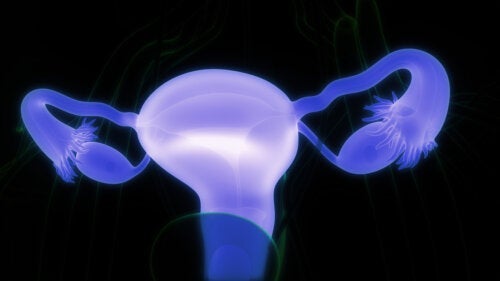 Dermoidcystor på äggstockarna: när behöver man kontakta läkare?