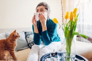 15 växter som förvärrar allergier