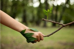 14 vackra citat för naturälskare