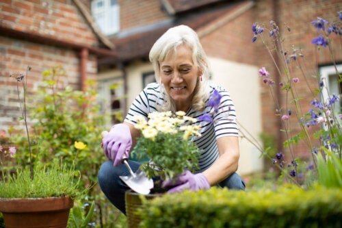 Slow gardening: Låt trädgården växa fram långsamt