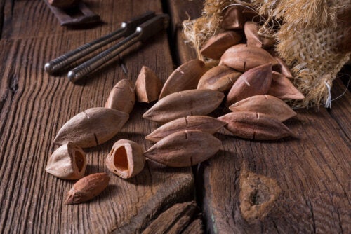 Pilinötter: en god nöt med mycket hälsosam näring