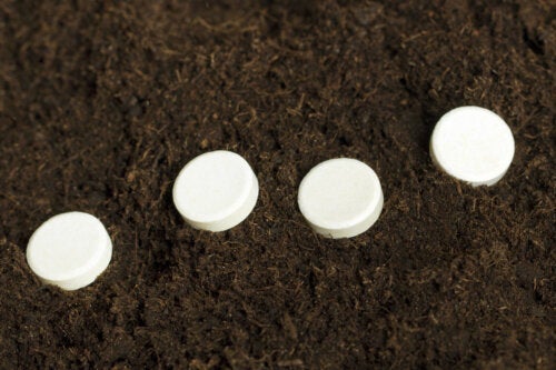 Kan man använda aspirin som hjälp för att rota växter?