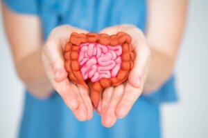 Ta hand om din tarmmikrobiota för att minska dina klimakteriebesvär