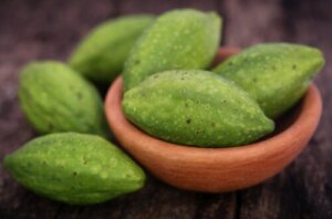 Hälsofördelar med haritaki inom ayurvedisk medicin