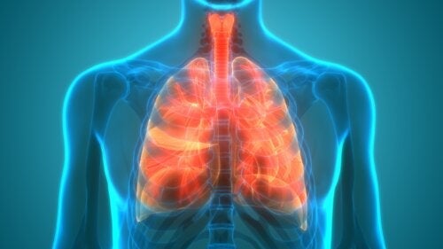 Hur bibehåller man ett friskt lungmikrobiom?