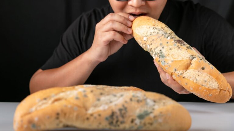 Vad händer om man råkar äta mögligt bröd?