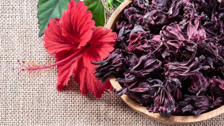 Hälsofördelar med rosellhibiskusen och hur man konsumerar den