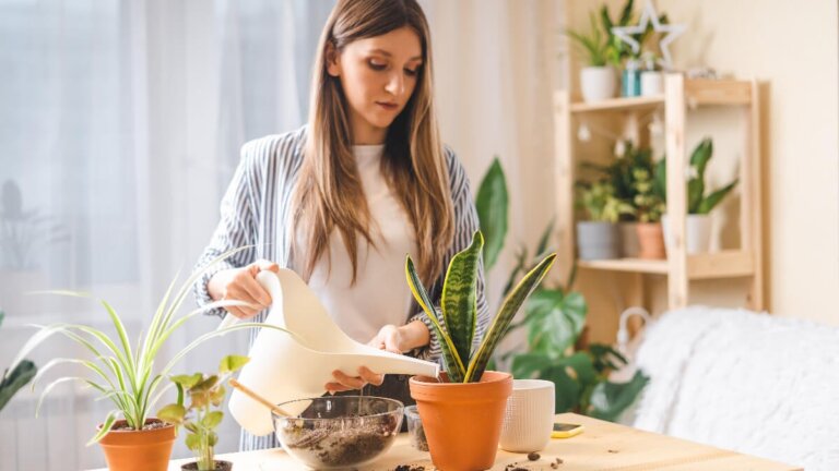 Växter i hemmet är mer än dekoration, de minskar också stress